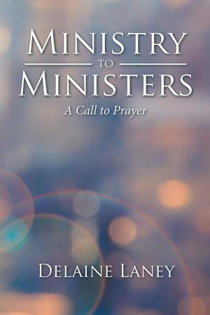 Cover of the book Ministry to Ministers by Kristy M Wright