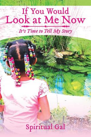 Cover of the book If You Would Look at Me Now by Celia Perryman