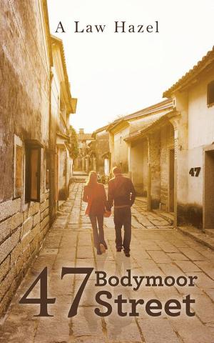Cover of the book 47 Bodymoor Street by Grigori Gerenstein