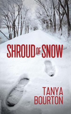 Cover of the book Shroud of Snow by Sarah Ruth Scott