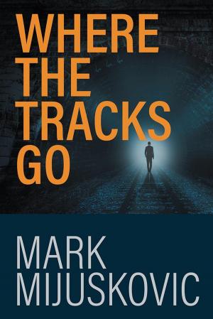 Book cover of Where the Tracks Go