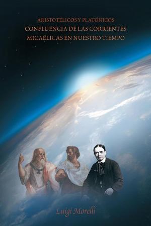 Cover of the book Aristotélicos Y Platónicos by Pastor Jim Knotek
