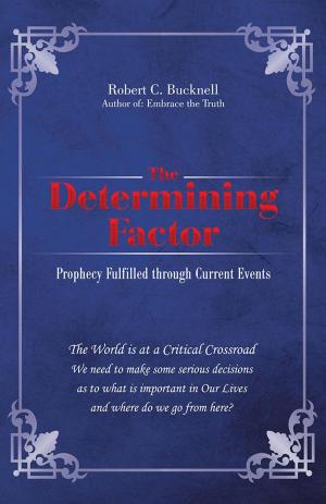 Cover of the book The Determining Factor by E.M. Elsheik