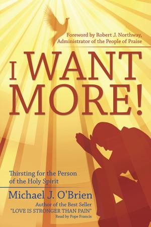 Cover of the book I Want More! by R. Brooke Jeffrey MD