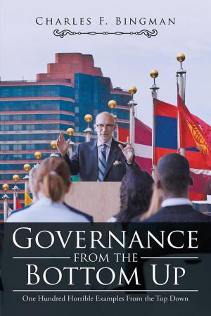 Cover of the book Governance from the Bottom Up by N.L. Sher
