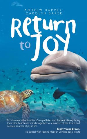 Cover of the book Return to Joy by F. V. Hank Helmick.