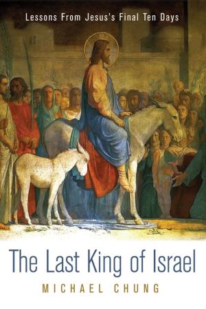 Book cover of The Last King of Israel