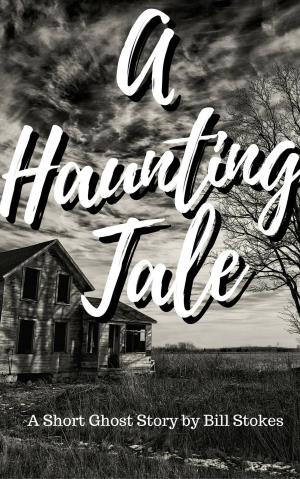 Cover of the book A Haunting Tale: A Short Ghost Story by Bill Stokes by Robert Decoteau
