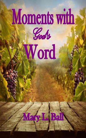 Book cover of Moments with God's Word