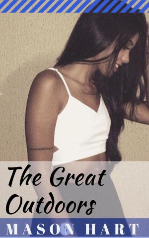 Cover of the book The Great Outdoors by Sophia Wilde