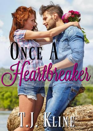 Book cover of Once a Heartbreaker