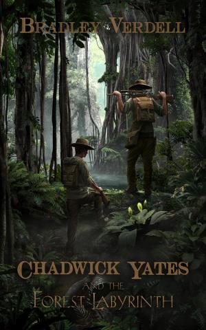 Book cover of Chadwick Yates and the Forest Labyrinth