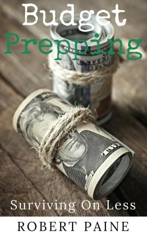 Cover of Budget Prepping: Surviving On Less