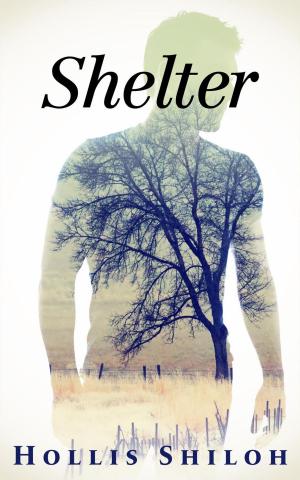 Cover of the book Shelter by Mindy Klasky