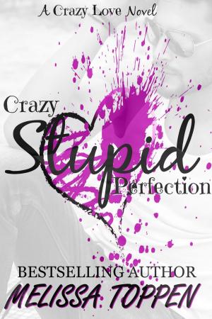 Cover of the book Crazy Stupid Perfection by Melissa Toppen