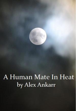 Cover of the book A Human Mate In Heat by Cameron Dreamshare