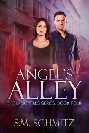 Cover of the book Angel's Alley by Casey Dawes