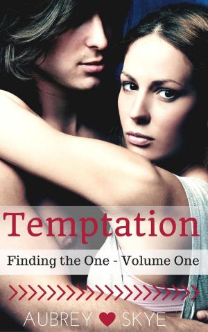 Cover of Temptation (Finding the One - Volume One)