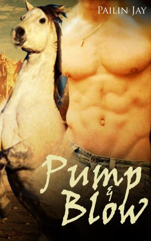 Book cover of Pump And Blow