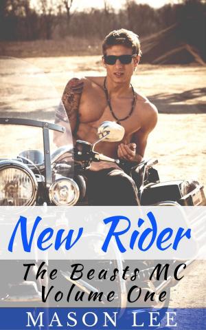 Cover of the book New Rider (The Beasts MC - Volume One) by Ana Vela