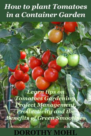Cover of How to Plant Tomatoes in a Container Garden
