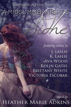 bigCover of the book A Midsummer Night's Sidhe by 