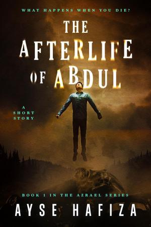 bigCover of the book The Afterlife of Abdul by 