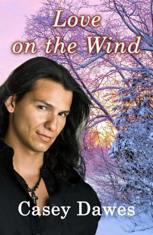 Cover of the book Love on the Wind by CK Stone