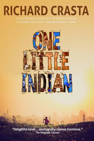 bigCover of the book One Little Indian by 