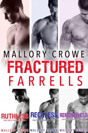 Cover of the book Fractured Farrells Box Set by Scott R. Parkin