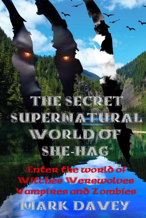 Book cover of The Secret Supernatural World of She-Hag