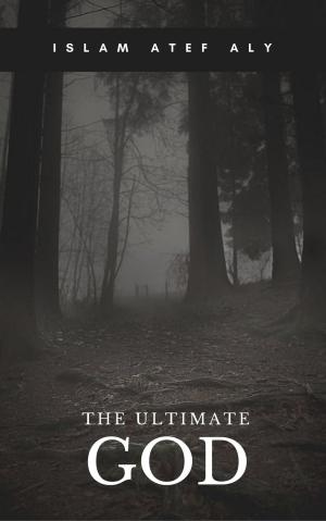 Cover of the book The ultimate God by Constantin M. N. Borcia