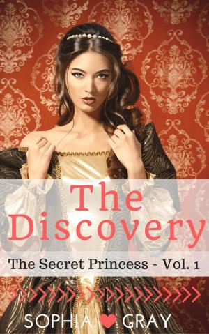 Book cover of The Discovery (The Secret Princess - Vol. 1)