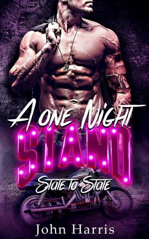 Book cover of A One Night Stand: State to State