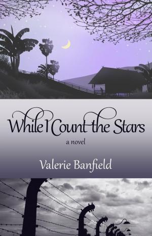Cover of the book While I Count the Stars: A Novel by Doreen Brust Johnson