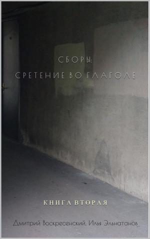 Book cover of СБОРЫ: СРЕТЕНИЕ ВО ГЛАГОЛЕ: КНИГА ВТОРАЯ