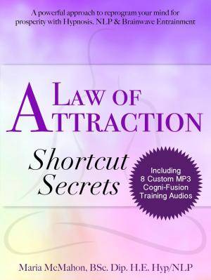 Book cover of Law of Attraction Shortcut Secrets