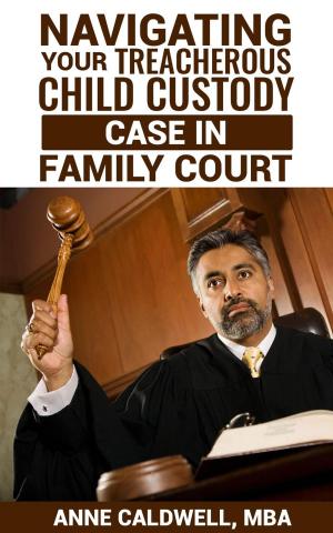 Cover of the book Navigating Your Treacherous Child Custody Case in Family Court by Shirley Williams