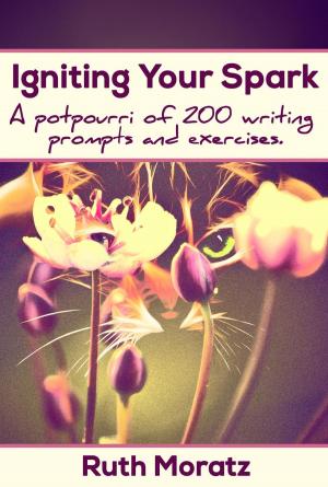 bigCover of the book Igniting Your Spark by 