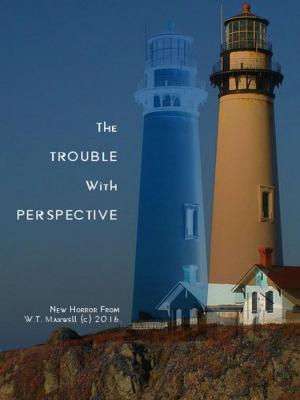 Book cover of The Trouble with Perspective