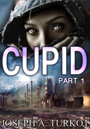 Cover of the book Cupid - Part 1 by Linda Tiernan Kepner