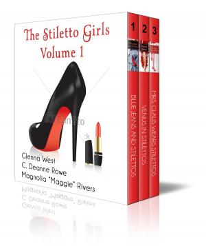 Book cover of The Stiletto Girls Volume I