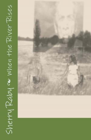 Cover of the book When the River Rises by Josiah Henson