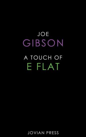 Cover of the book A Touch of E Flat by Florence Aston