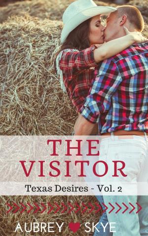 Cover of the book The Visitor (Texas Desires - Vol. 2) by Sofia Paz