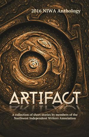 Cover of the book Artifact by Caitlan Burns