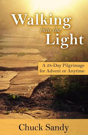 Cover of the book Walking into the Light: A 28-Day Pilgrimage for Advent or Anytime by Chris Mares
