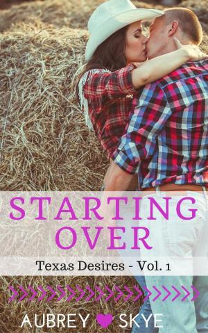 Cover of the book Starting Over (Texas Desires - Vol. 1) by Ana Vela