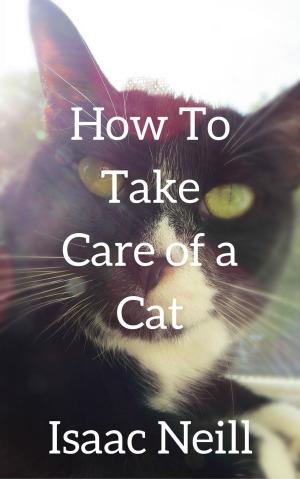 bigCover of the book How to Take Care of a Cat by 