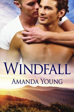 Book cover of Windfall